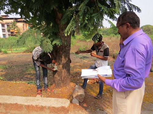 Participants mounting the camera