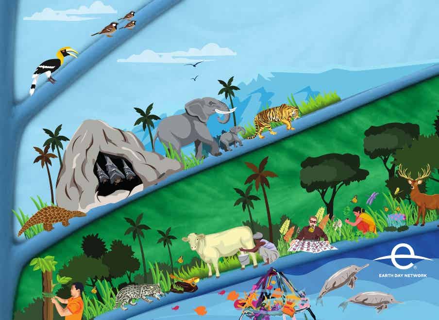 Pathways to Green India - Ways to Protect Our Species eBook