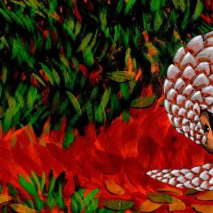 ഇന്ത്യൻ പാംഗോലിൻ (The Secret of Pangolins in Malayalam)