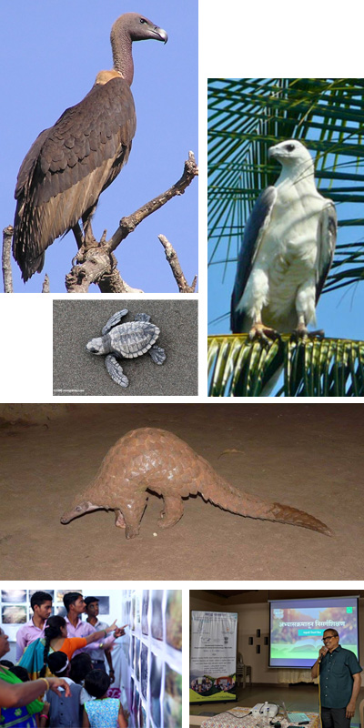 Section Image Alt Text